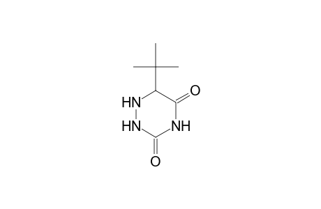 4-tert-Butyl-5,6-dehydro-6-azauracil