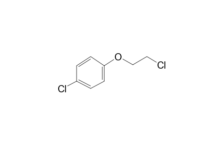 Benzene, 1-chloro-4-(2-chloroethoxy)-