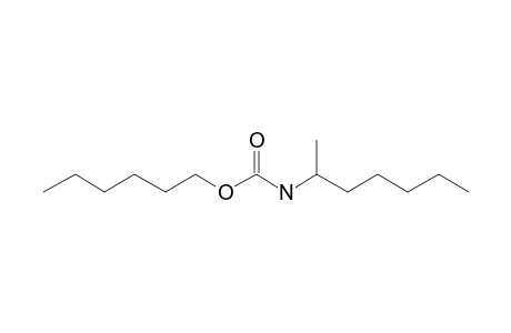 Carbonic acid, monoamide, N-hept-2-yl-, hexyl ester