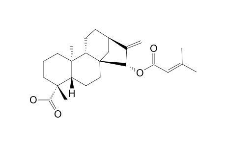 ENT-15-BETA-SENECIOYLOXY-16-EN-KAUR-19-OIC-ACID