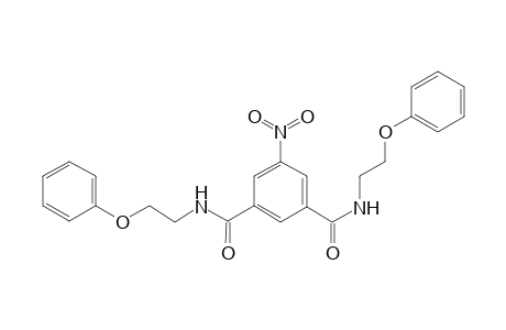 5-Nitro-1-N,3-N-bis(2-phenoxyethyl)benzene-1,3-dicarboxamide