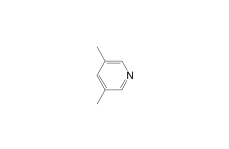 3,5-Dimethylpyridine
