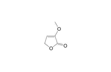 2(5H)-Furanone, 3-methoxy-