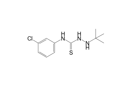 1-tert-butyl-4-(m-chlorophenyl)-3-thiosemicarbazide