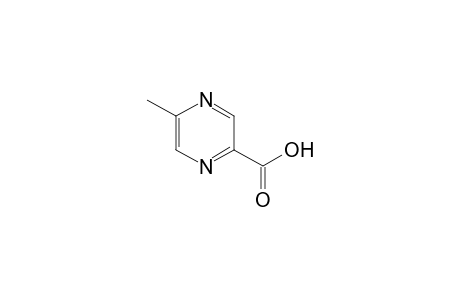 5-Methylpyrazine-2-carboxylic acid