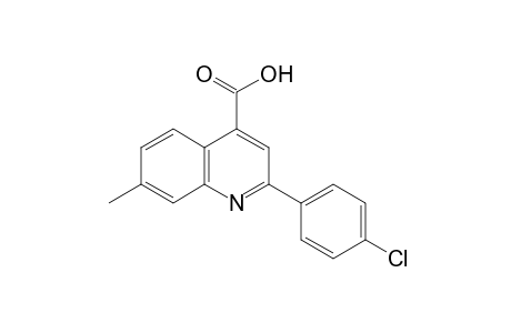 2-(p-chlorophenyl)-7-methylcinchoninic acid