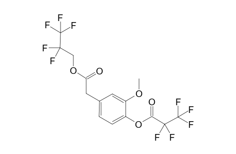 Pentafluoropropionyl-2,2,3,3,3-pentafluoropropyl ester derivative of homovanillic acid