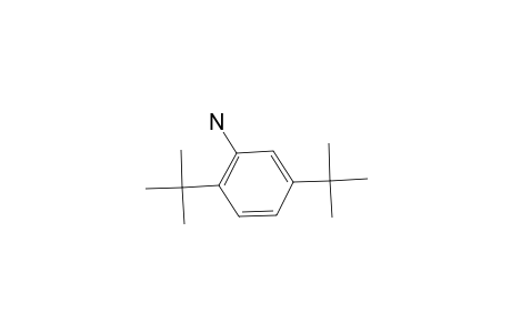 (2,5-Ditert-butylphenyl)amine