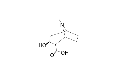 Ecgonine