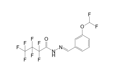 N'-{(E)-[3-(difluoromethoxy)phenyl]methylidene}-2,2,3,3,4,4,4-heptafluorobutanohydrazide