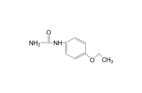 (p-ethoxyphenyl)urea