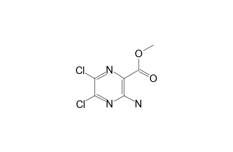 3-amino-5,6-dichloro-pyrazinic acid methyl ester