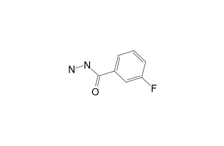 3-Fluorobenzoic hydrazide
