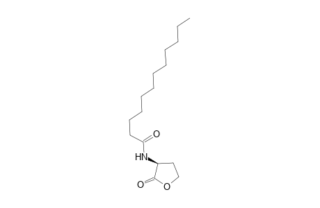 N-Dodecanoyl-L-homoserine lactone