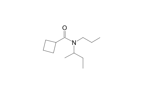 Cyclobutanecarboxamide, N-(2-butyl)-N-propyl-