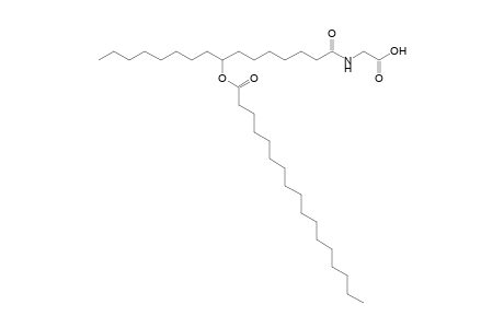 NAGly 17:0/16:0