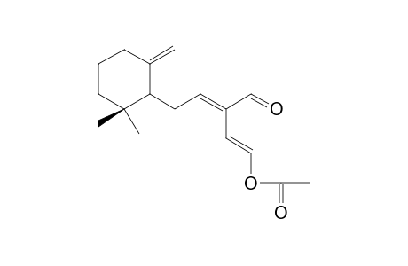 ONCHIDAL