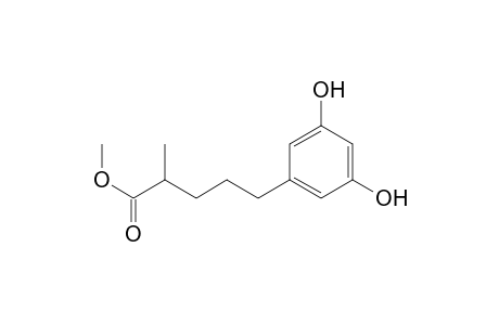 Methyl 5-(3',5'-dihydroxyphenyl)-2(R,S)-methylpentanoate
