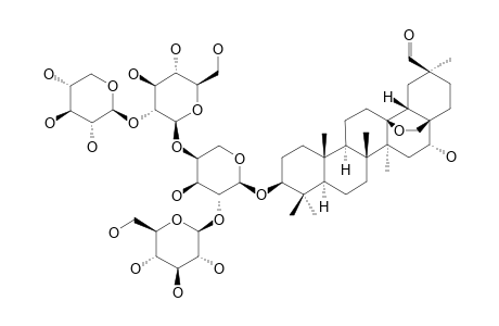 SAXIFRAGOLIN-B;#2;3-O-(BETA-D-XYLOPYRANOSYL-(1->2)-BETA-D-GLUCOPYRANOSYL-(1->4)-[BETA-D-GLUCOPYRANOSYL-(1->2)]-ALPHA-L-ARABINOPYRANOSYL)-CYCLAMIRETIN-A