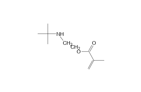 2-(tert-Butylamino)ethyl methacrylate