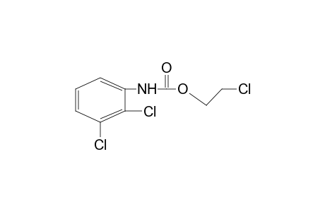 2,3-dichlorocarbanilic acid, 2-chloroethyl ester