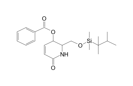 2-(([Dimethyl(1,1,2-trimethylpropyl)silyl]oxy)methyl)-6-oxo-1,2,3,6-tetrahydro-3-pyridinyl benzoate