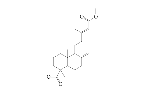 (4S,9R,10R)-METHYL-18-CARBOXY-LABDA-8,13(E)-DIENE-15-OATE