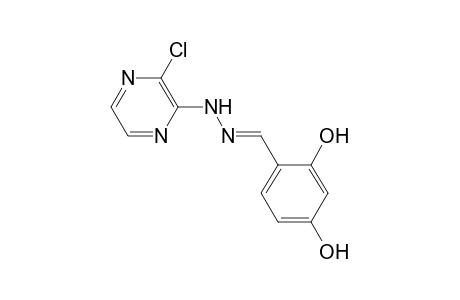 2,4-Dihydroxybenzaldehyde (3-chloro-2-pyrazinyl)hydrazone