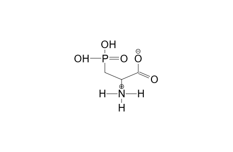 2-AMINO-3-PHOSPHONOPROPIONIC ACID