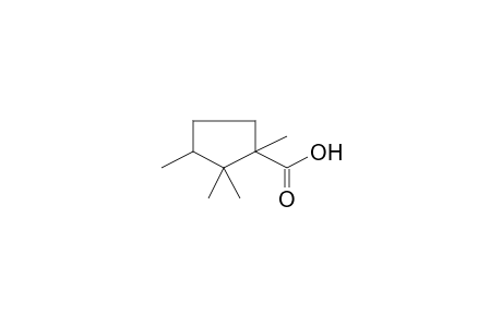 d-Campholic Acid