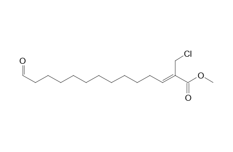 Methyl 2-chloromethyl-13-formyl-2(Z)-tridecenoate