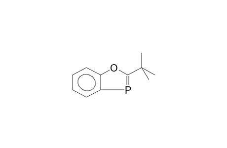 2-TERT-BUTYLBENZOXAPHOSPHOLE