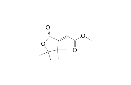 Acetic acid, (dihydro-4,4,5,5-tetramethyl-2-oxo-3(2H)-furanylidene)-, methyl ester, (E)-