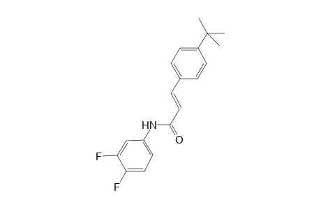 (2E)-3-(4-tert-butylphenyl)-N-(3,4-difluorophenyl)-2-propenamide