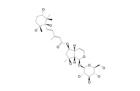 6-O-SEC-HYDROXY-AEGINETOYL-AJUGOL