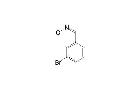 3-Bromobenzaldoxime