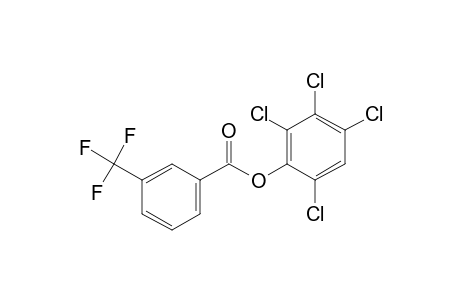 3-Trifluoromethylbenzoic acid, 2,3,4,6-tetrachlorophenyl ester