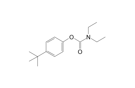 diethylcarbamic acid, p-tert-butylphenyl ester