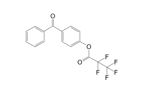 4-Hydroxybenzophenone, pentafluoropropionate