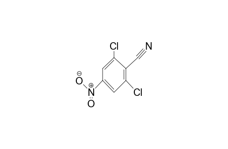 2,6-Dichloro-4-nitrobenzonitrile