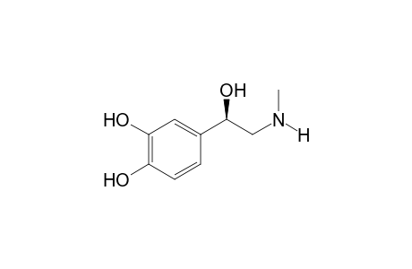 l-Adrenaline