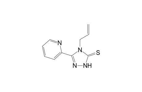 4-allyl-3-(2-pyridyl)-delta square-1,2,4-triazoline-5-thione