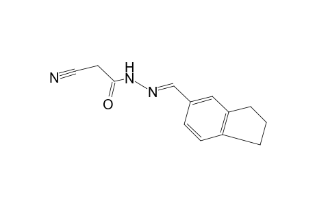 cyanoacetic acid, [(5-indanyl)methylene]hydrazide