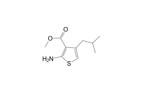 2-amino-4-isobutyl-thiophene-3-carboxylic acid methyl ester