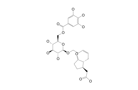 (1'-R,5'-R)-5-(5-CARBOXYMETHYL-2-OXOCYCLOPENTYL)-3-Z-PENTENYL_BETA-D-(6-O-GALLOYL)-GLUCOPYRANOSIDE