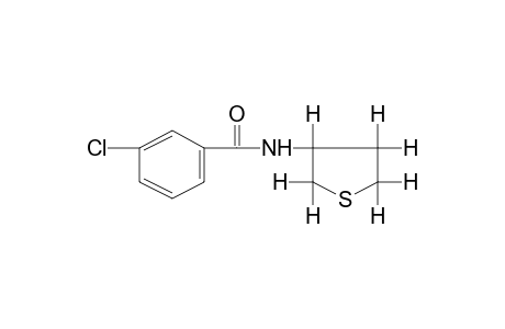 m-chloro-N-(tetrahydro-3-thienyl)benzamide