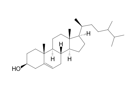 24-methyl Cholesterol