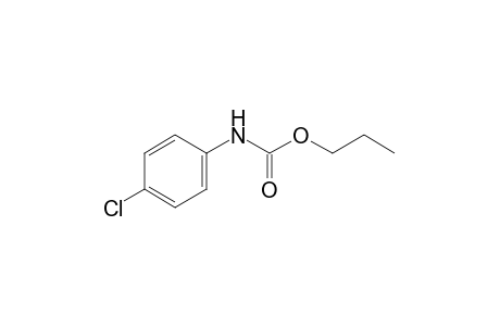 p-chlorocarbanilic acid, propyl ester