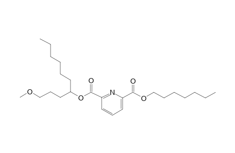 2,6-Pyridinedicarboxylic acid, heptyl 1-methoxydec-4-yl ester