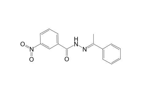 3-Nitro-N'-[(E)-1-phenylethylidene]benzohydrazide